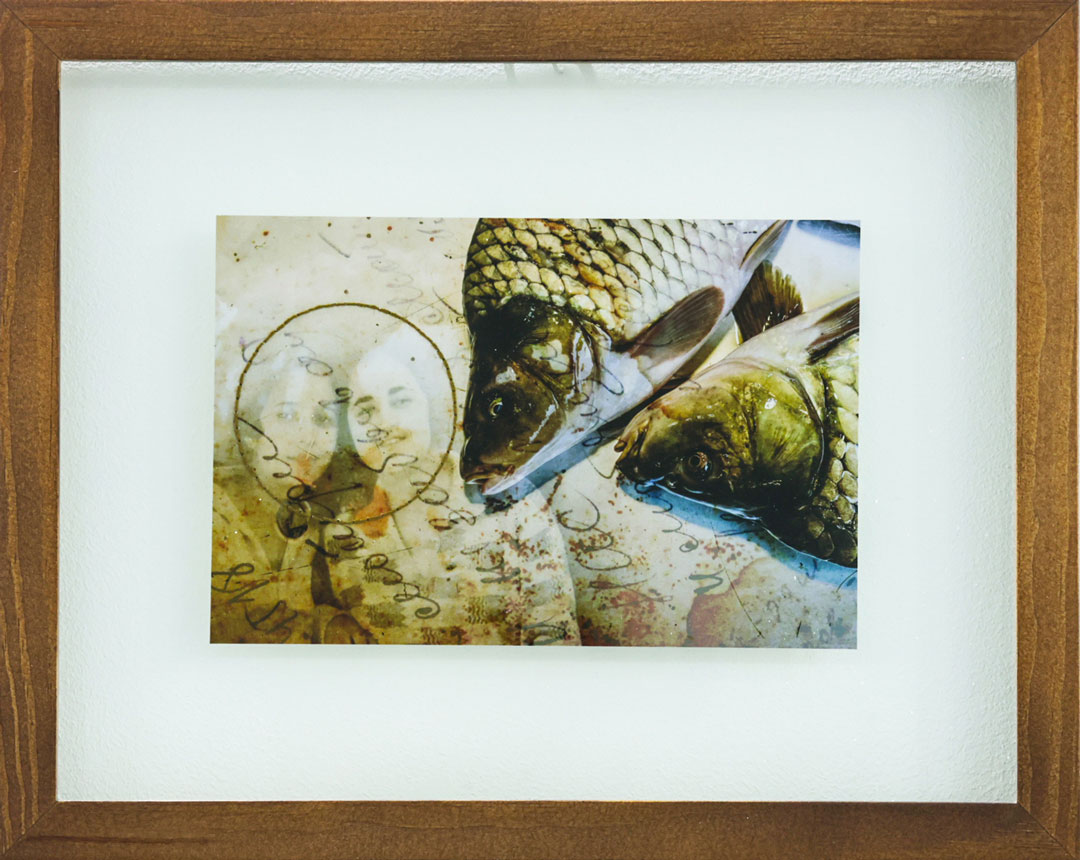 Between the prey and your shadow - Untitled