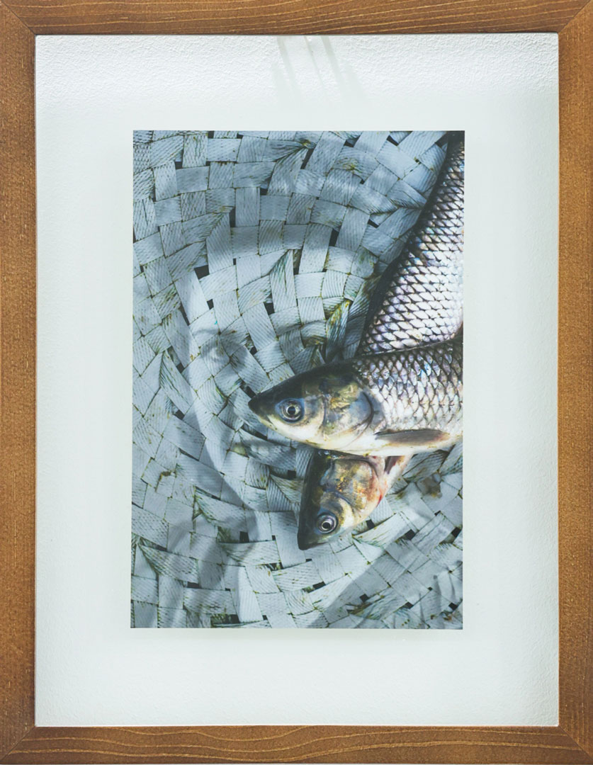 Between the prey and your shadow - Untitled